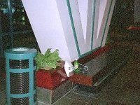 photos 2000-200900444